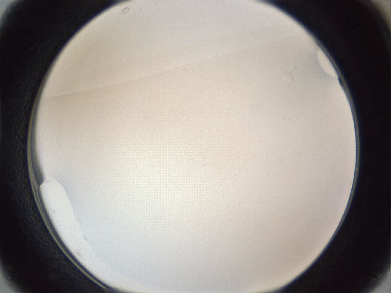 folderID166_plateID1166_batchID3069_wellNum37_profileID1_d1_r61351_ef.jpg