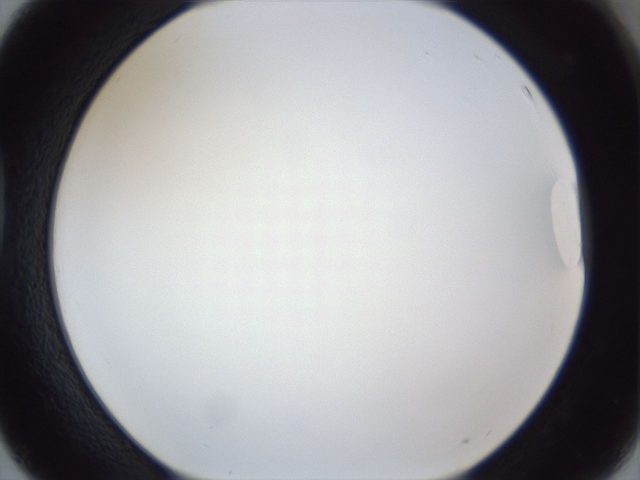 folderID166_plateID1166_batchID3069_wellNum39_profileID1_d1_r61355_ef.jpg