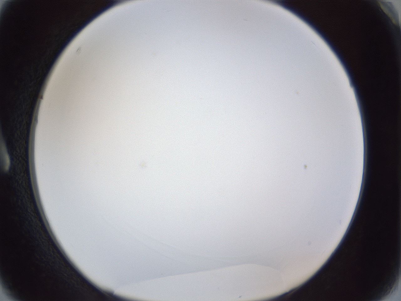 folderID166_plateID1166_batchID3069_wellNum3_profileID1_d1_r61283_ef.jpg