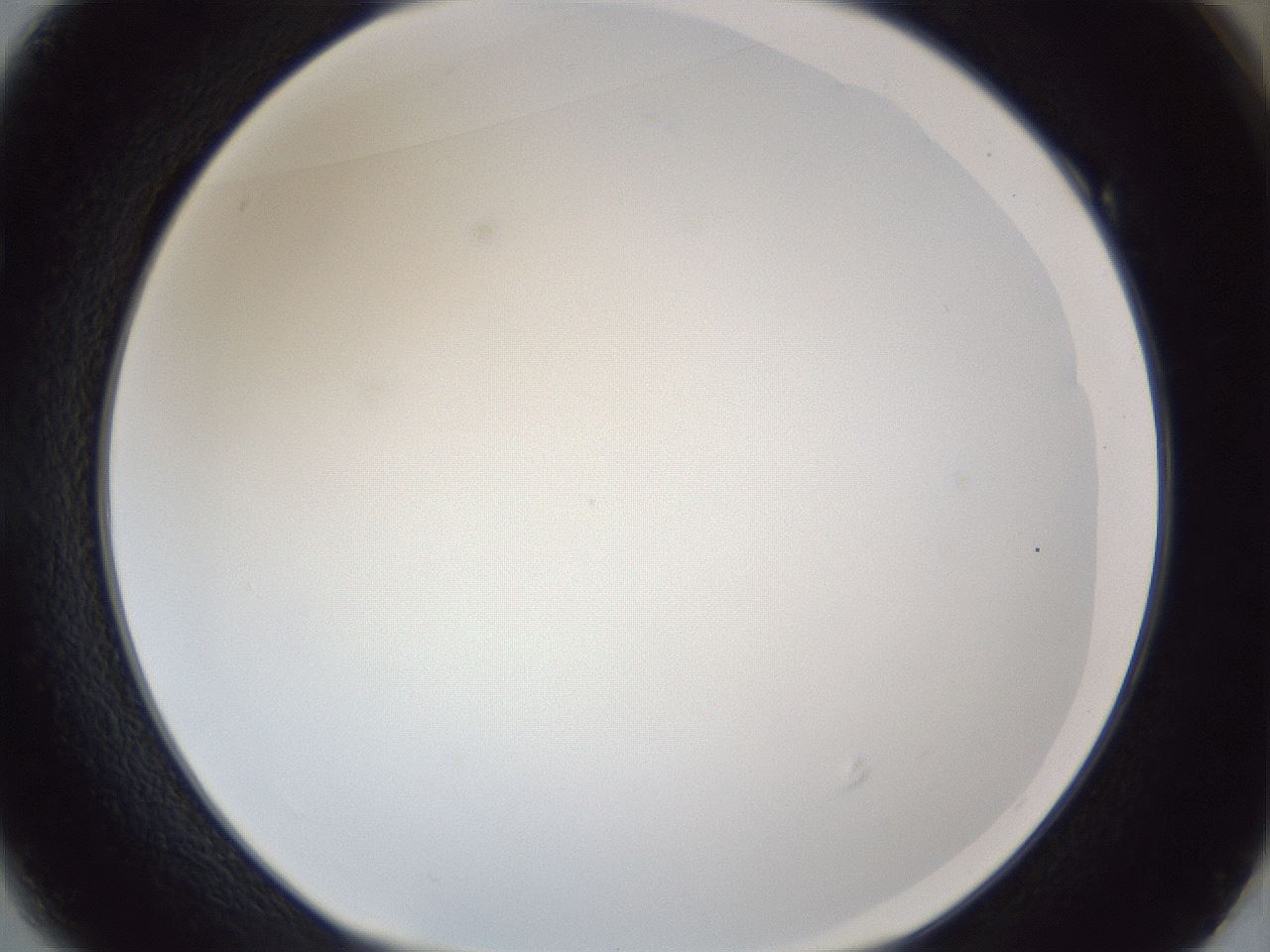folderID166_plateID1166_batchID3069_wellNum49_profileID1_d1_r61375_ef.jpg