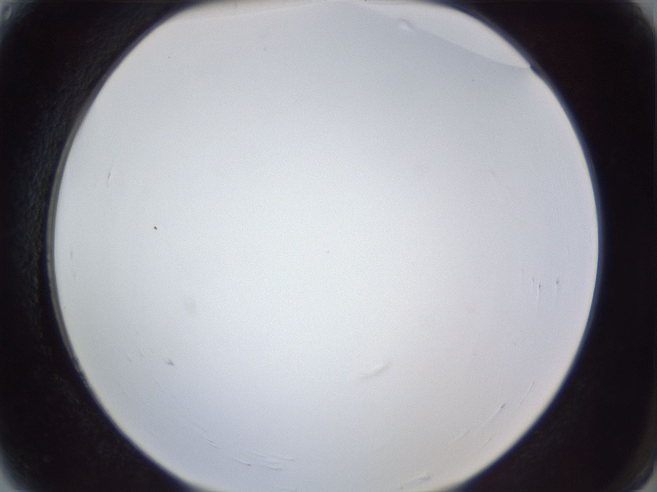 folderID166_plateID1166_batchID3069_wellNum4_profileID1_d2_r61286_ef.jpg