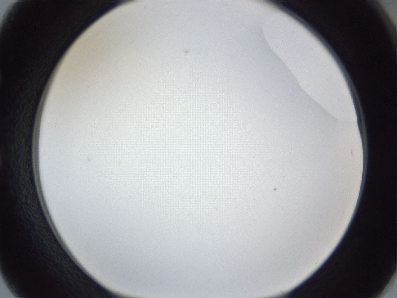 folderID166_plateID1166_batchID3069_wellNum50_profileID1_d1_r61377_ef.jpg