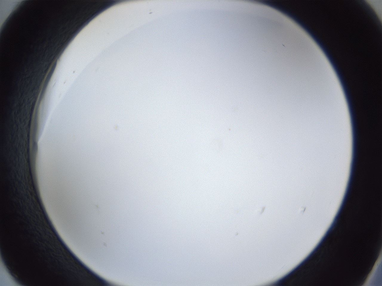 folderID166_plateID1166_batchID3069_wellNum52_profileID1_d2_r61382_ef.jpg