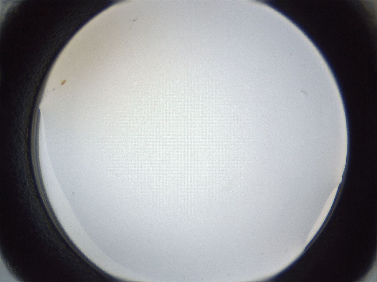 folderID166_plateID1166_batchID3069_wellNum61_profileID1_d1_r61399_ef.jpg