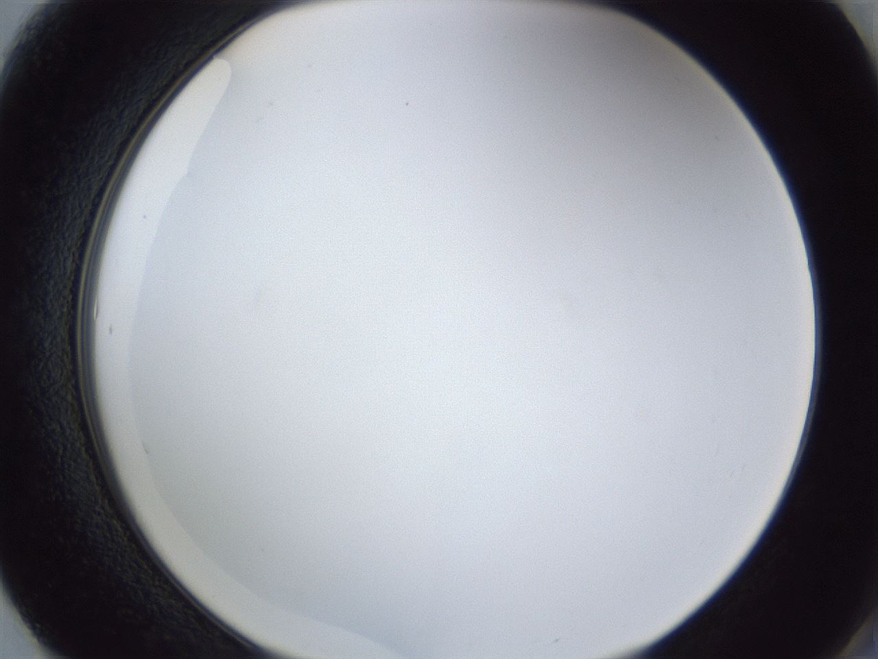folderID166_plateID1166_batchID3069_wellNum61_profileID1_d2_r61400_ef.jpg