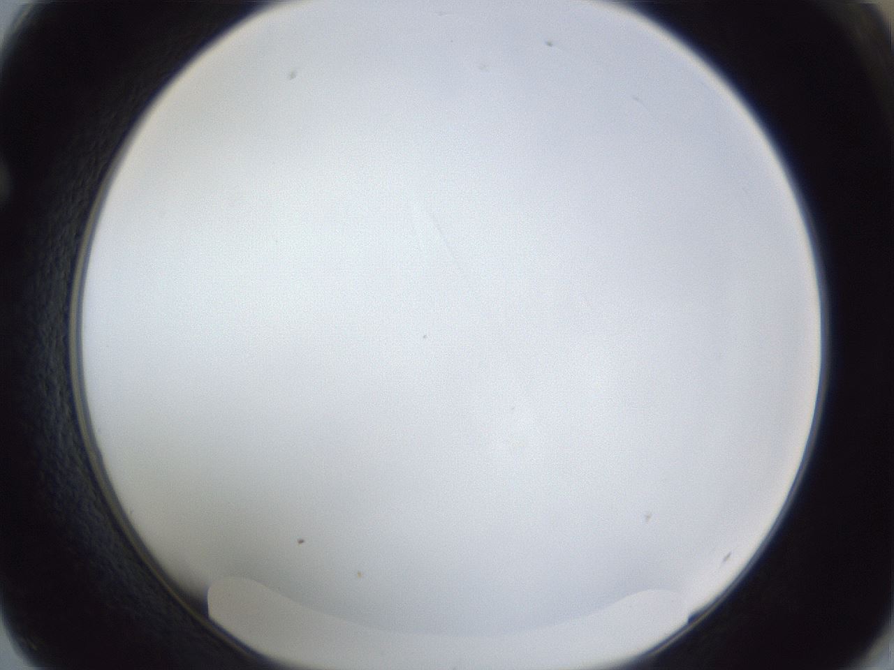 folderID166_plateID1166_batchID3069_wellNum62_profileID1_d1_r61401_ef.jpg