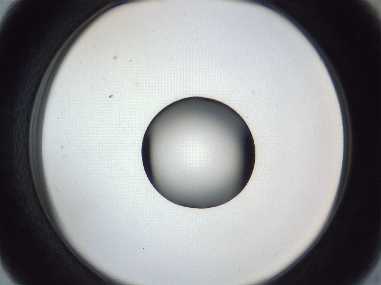 folderID252_plateID1252_batchID3997_wellNum27_profileID1_d2_r72515_ef.jpg