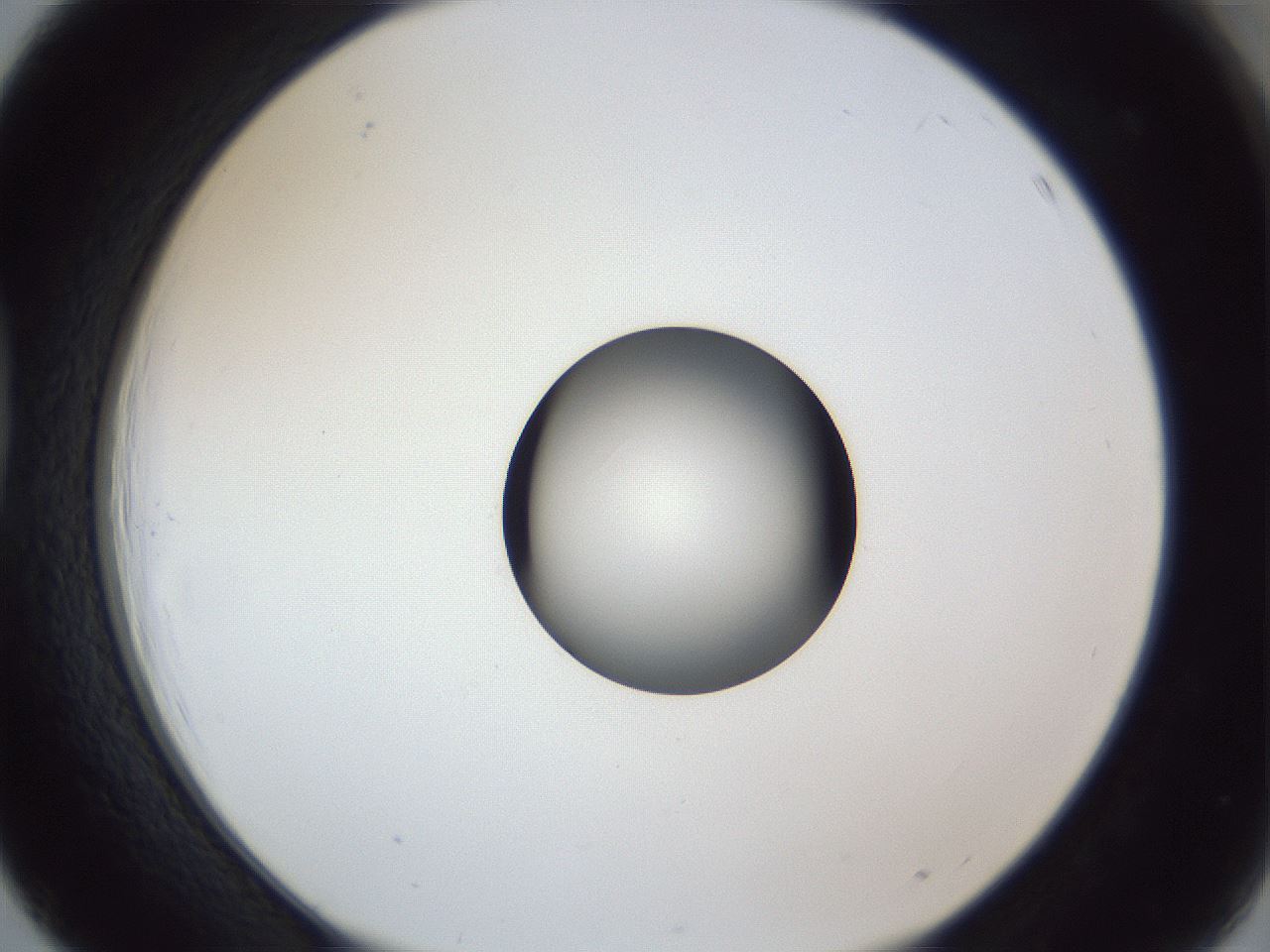 folderID252_plateID1252_batchID3997_wellNum39_profileID1_d1_r72538_ef.jpg