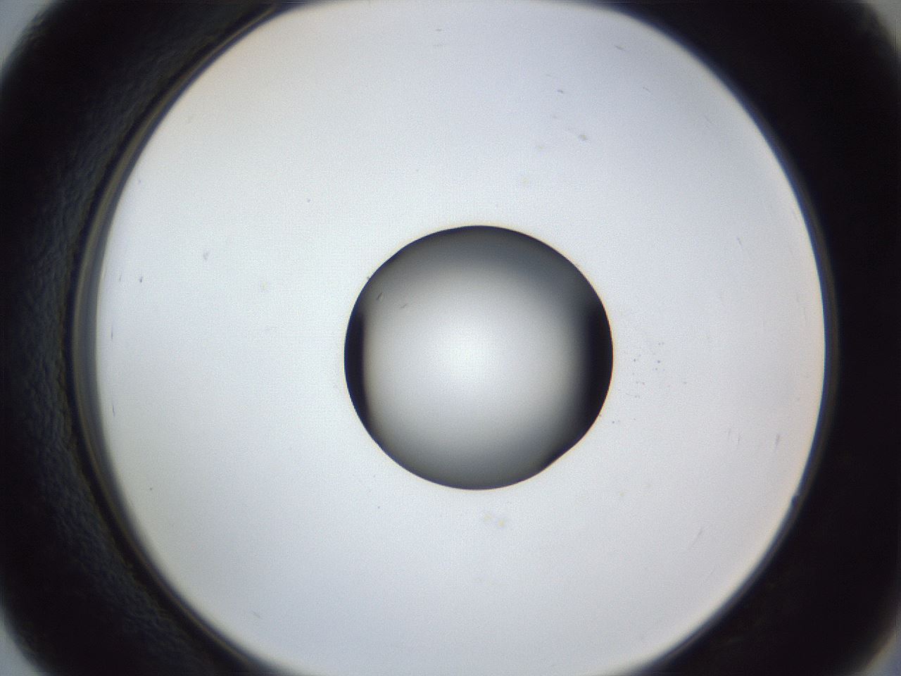 folderID252_plateID1252_batchID3997_wellNum39_profileID1_d2_r72539_ef.jpg