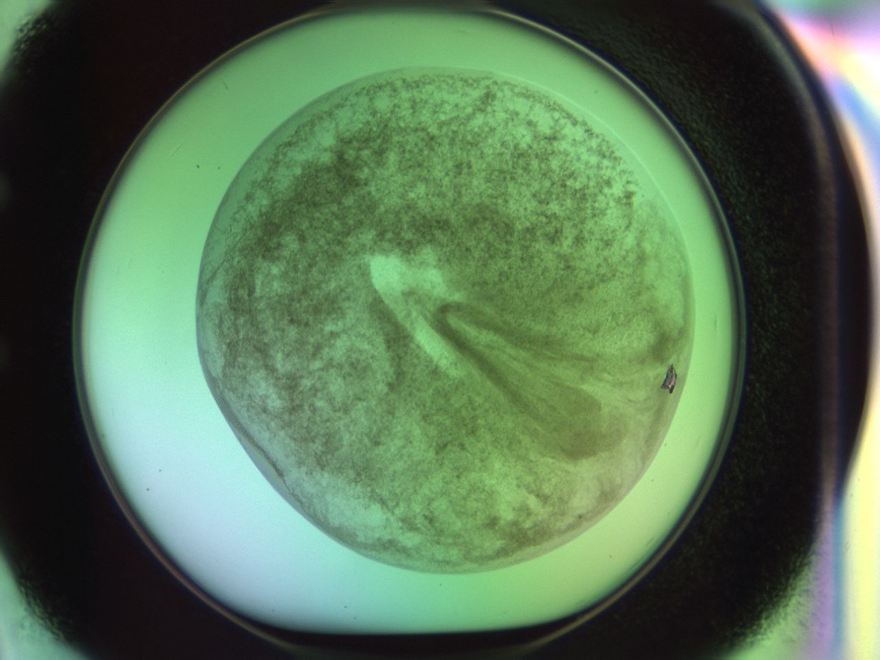 02ia_E2_ImagerDefaults_6.jpg