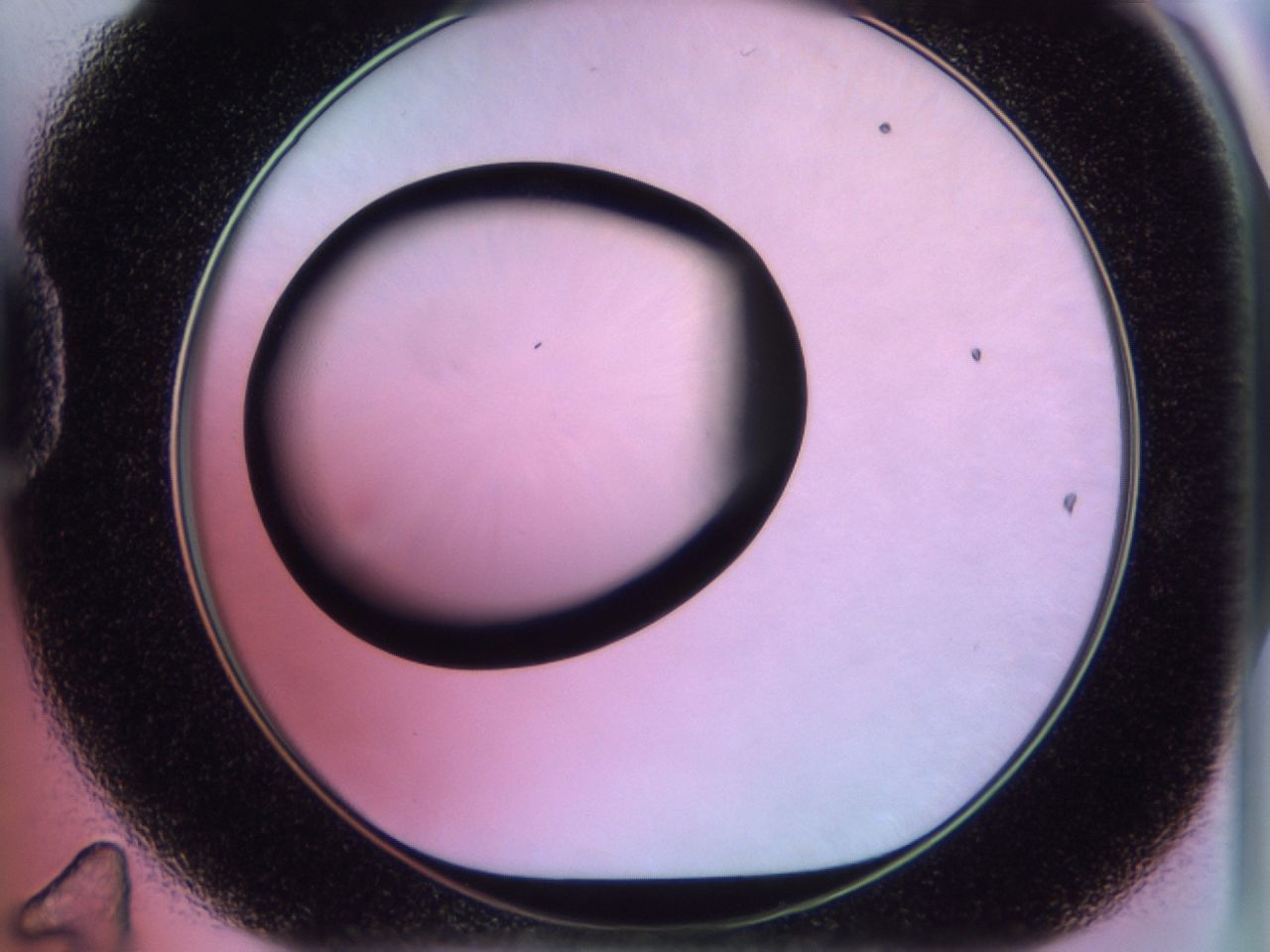 02ib_D11_ImagerDefaults_6.jpg