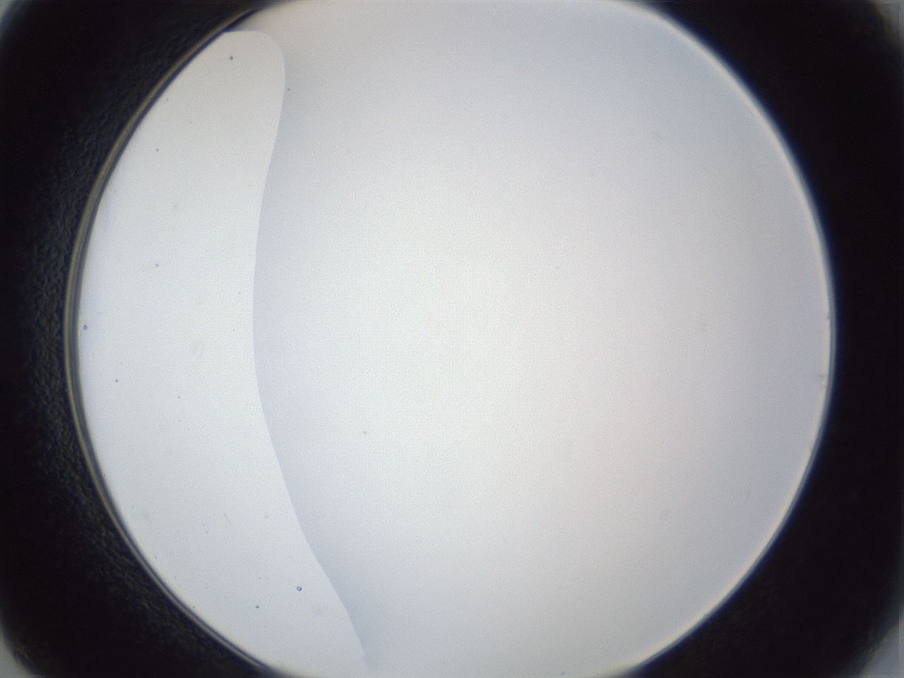 folderID165_plateID1165_batchID3120_wellNum14_profileID1_d2_r61114_ef.jpg