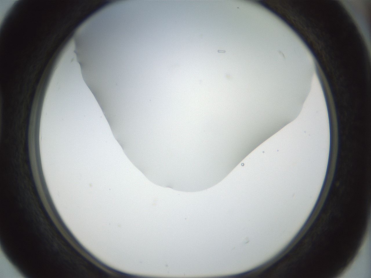 folderID169_plateID1169_batchID3178_wellNum40_profileID1_d1_r61798_ef.jpg
