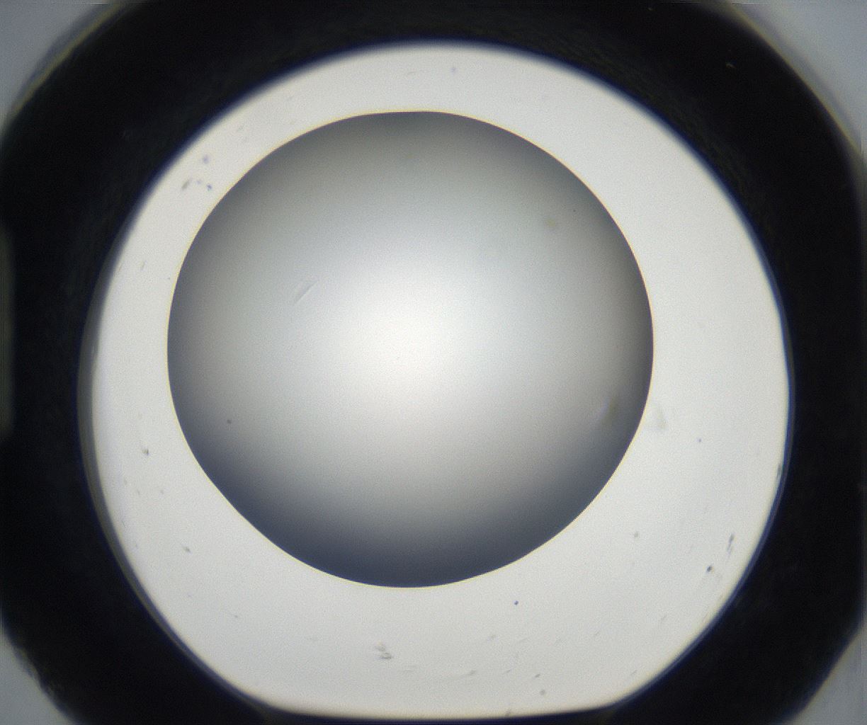 folderID175_plateID2175_batchID9608_wellNum92_profileID1_d1_r147133_ef.jpg
