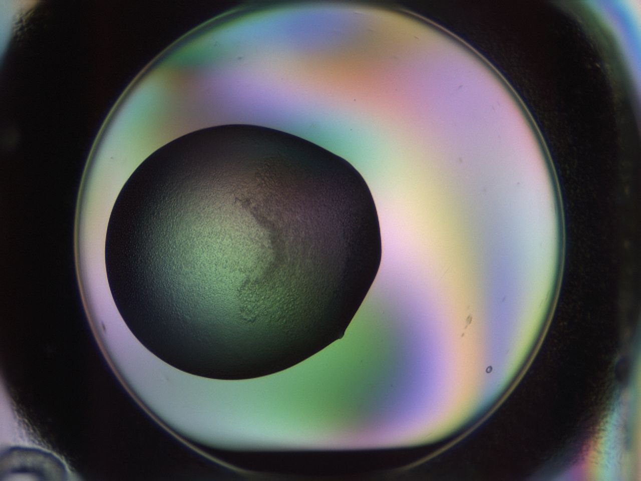 02ic_F12_ImagerDefaults_6.jpg