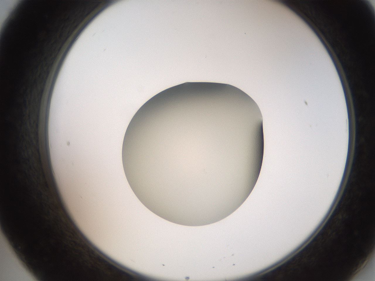 folderID257_plateID2257_batchID10332_wellNum20_profileID1_d2_r156649_ef.jpg