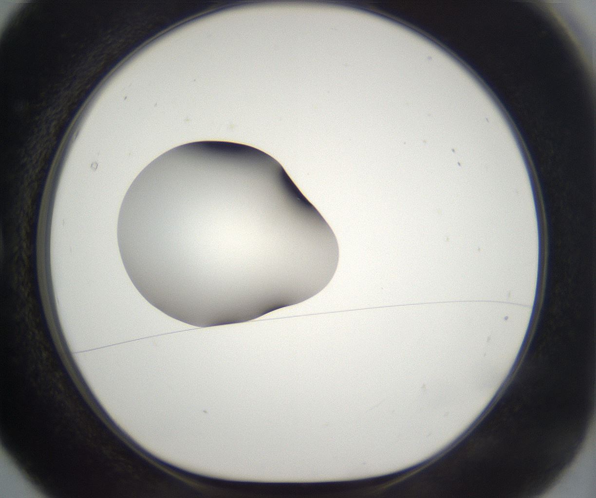 folderID261_plateID2261_batchID10354_wellNum5_profileID1_d1_r158054_ef.jpg