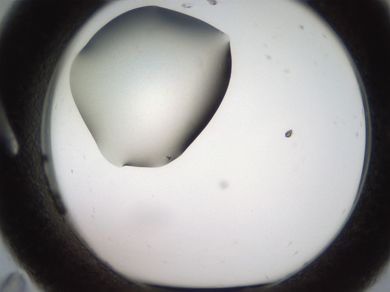 folderID257_plateID2257_batchID10332_wellNum11_profileID1_d1_r156630_ef.jpg