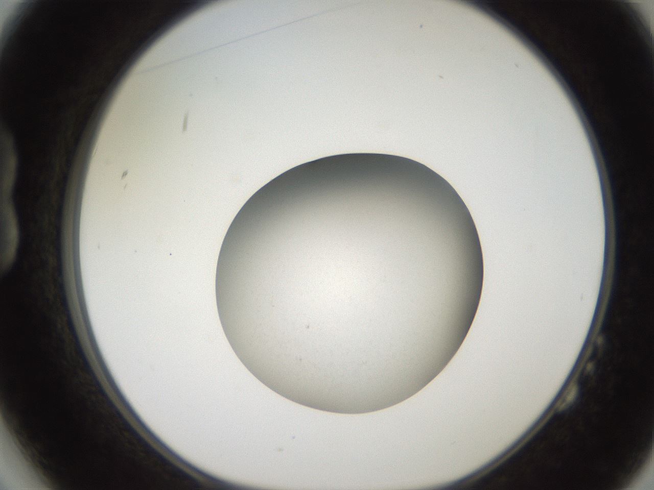 folderID257_plateID2257_batchID10332_wellNum14_profileID1_d1_r156636_ef.jpg