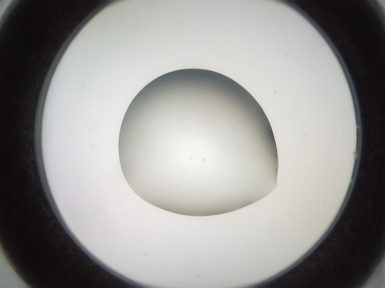folderID257_plateID2257_batchID10332_wellNum14_profileID1_d2_r156637_ef.jpg