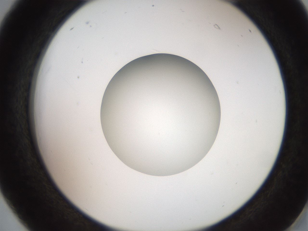 folderID257_plateID2257_batchID10332_wellNum18_profileID1_d2_r156645_ef.jpg