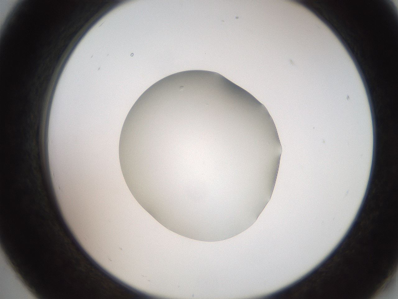 folderID257_plateID2257_batchID10332_wellNum19_profileID1_d2_r156647_ef.jpg