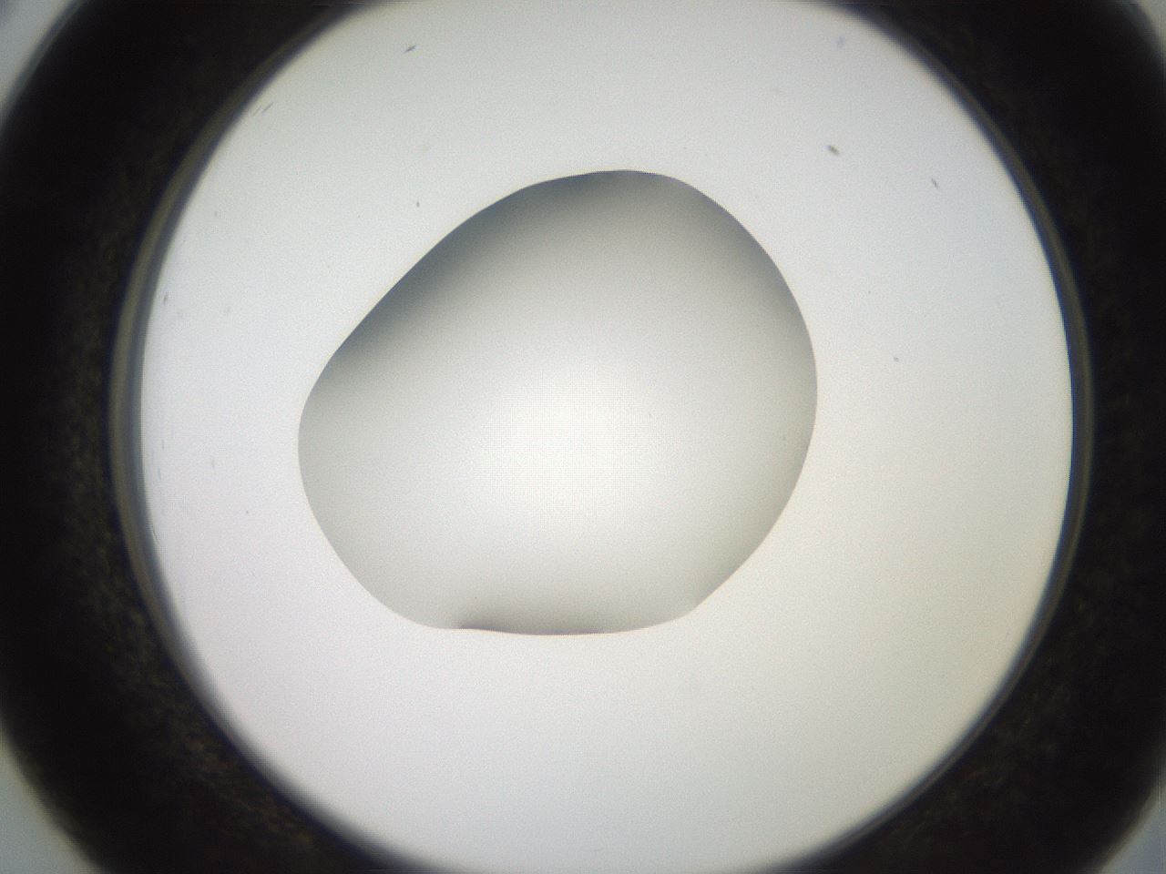 folderID257_plateID2257_batchID10332_wellNum26_profileID1_d2_r156661_ef.jpg