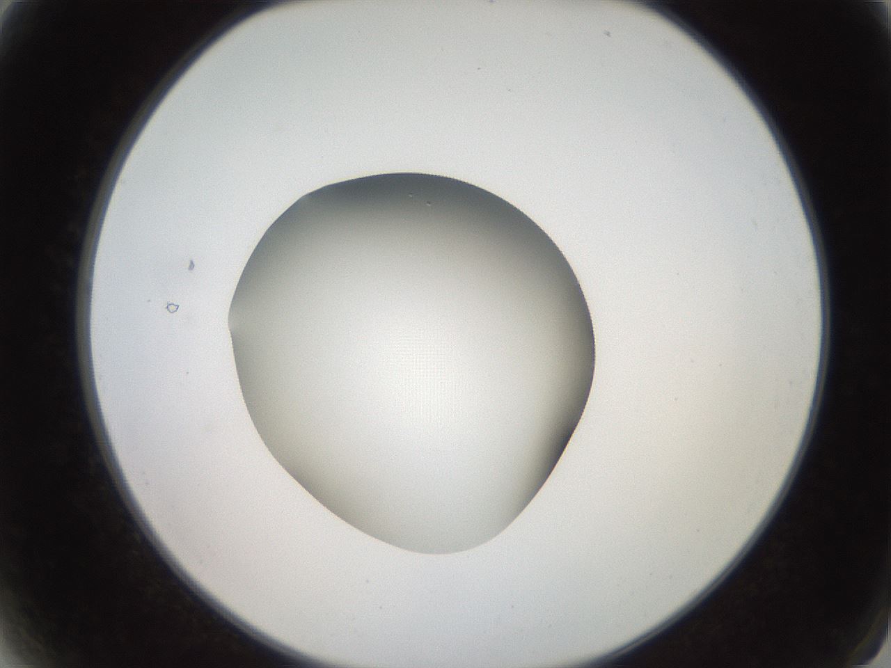 folderID257_plateID2257_batchID10332_wellNum2_profileID1_d2_r156613_ef.jpg