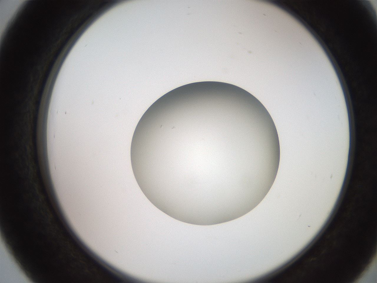 folderID257_plateID2257_batchID10332_wellNum39_profileID1_d2_r156687_ef.jpg