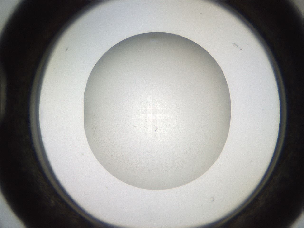 folderID257_plateID2257_batchID10332_wellNum40_profileID1_d1_r156688_ef.jpg
