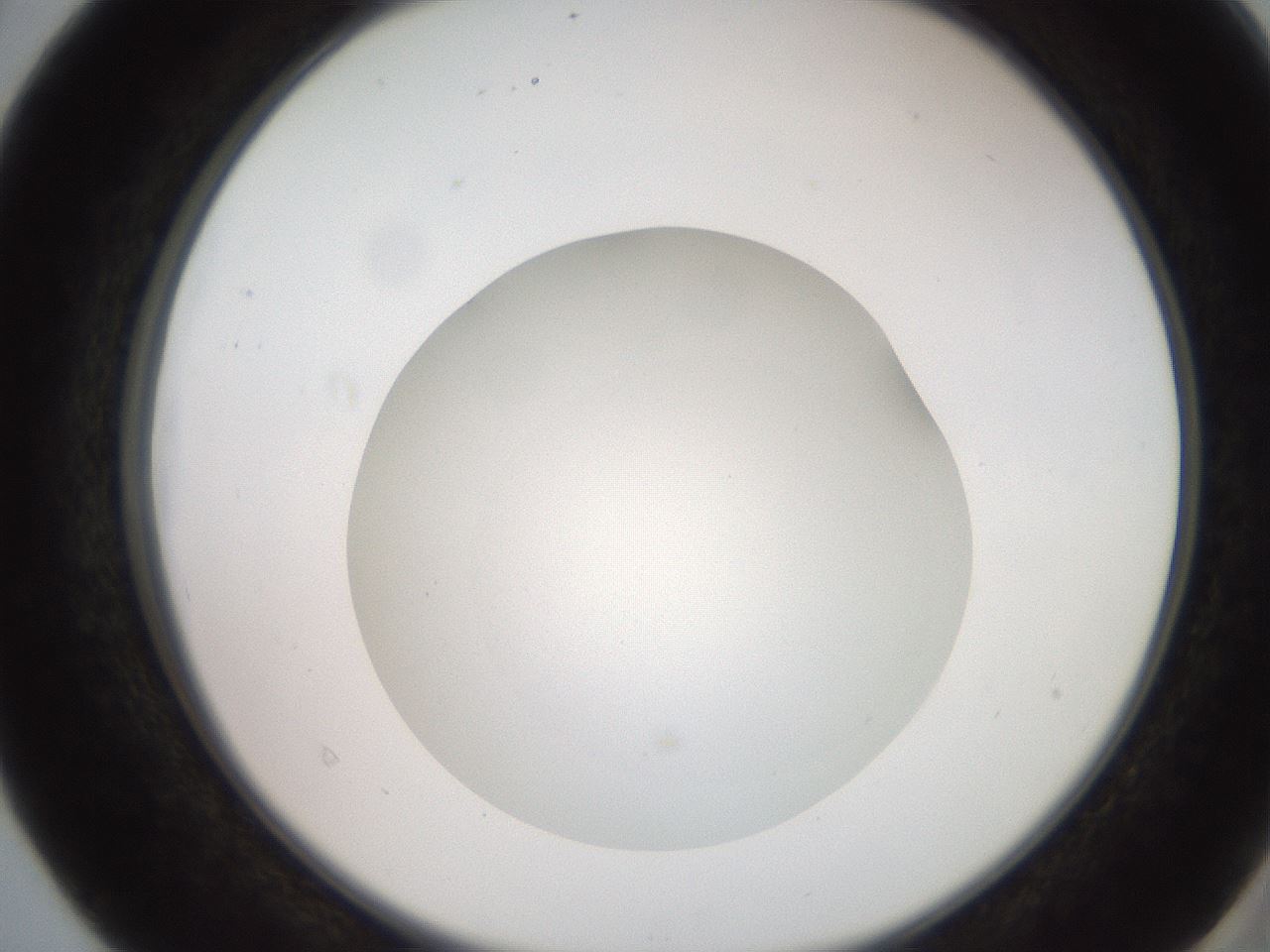 folderID257_plateID2257_batchID10332_wellNum40_profileID1_d2_r156689_ef.jpg