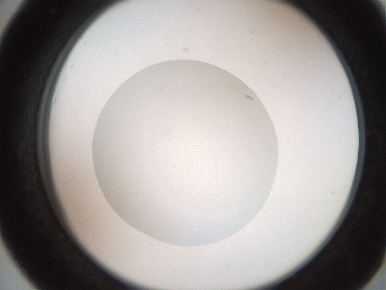 folderID257_plateID2257_batchID10332_wellNum42_profileID1_d2_r156693_ef.jpg