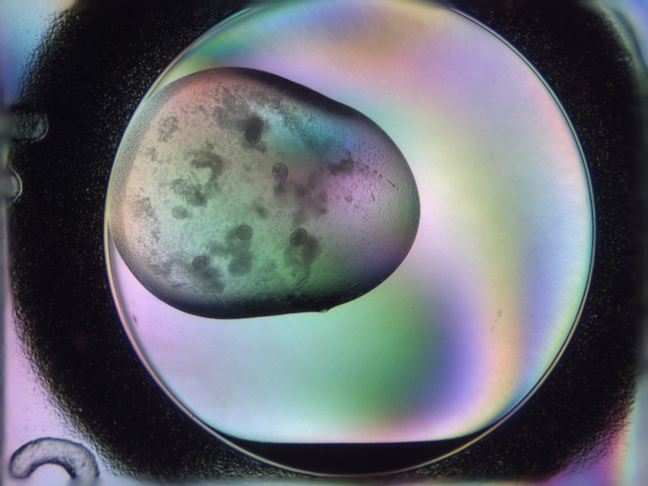 02j1_F12_ImagerDefaults_6.jpg