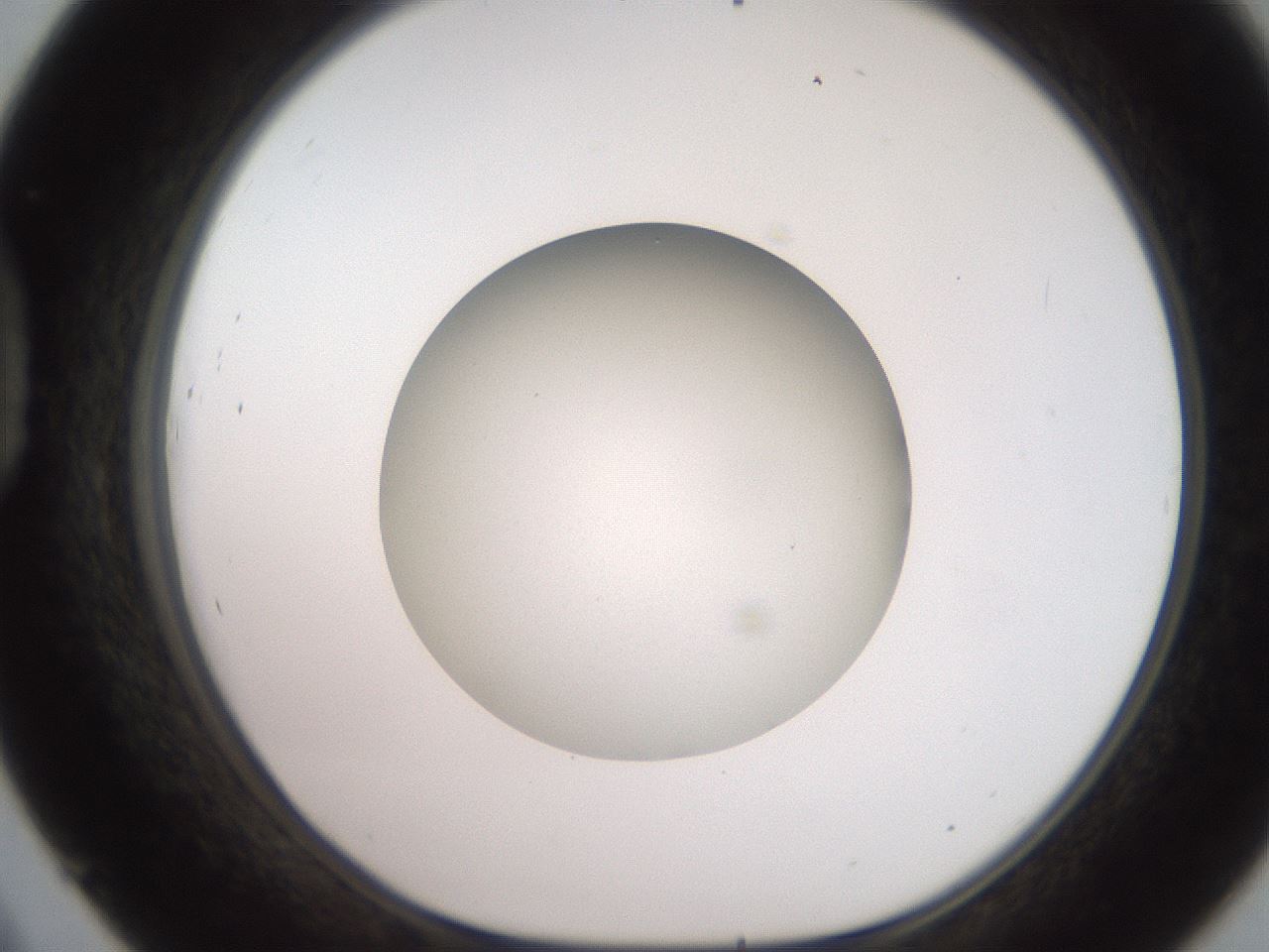 folderID257_plateID2257_batchID10332_wellNum45_profileID1_d1_r156698_ef.jpg