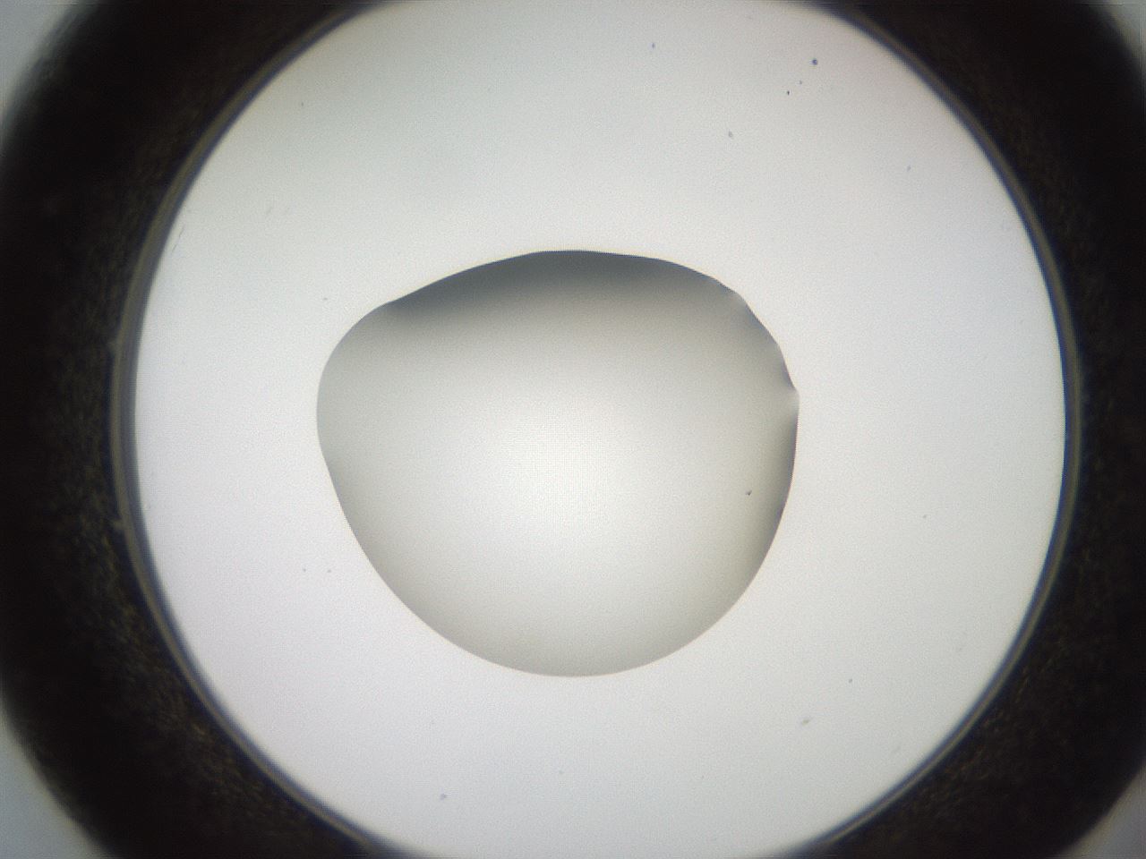 folderID257_plateID2257_batchID10332_wellNum49_profileID1_d2_r156707_ef.jpg
