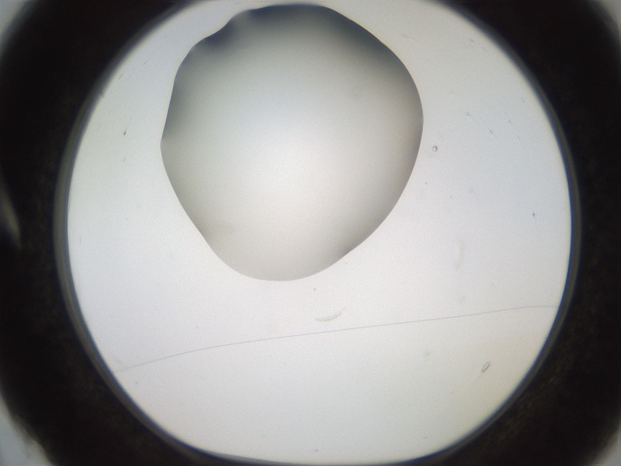 folderID257_plateID2257_batchID10332_wellNum4_profileID1_d1_r156616_ef.jpg