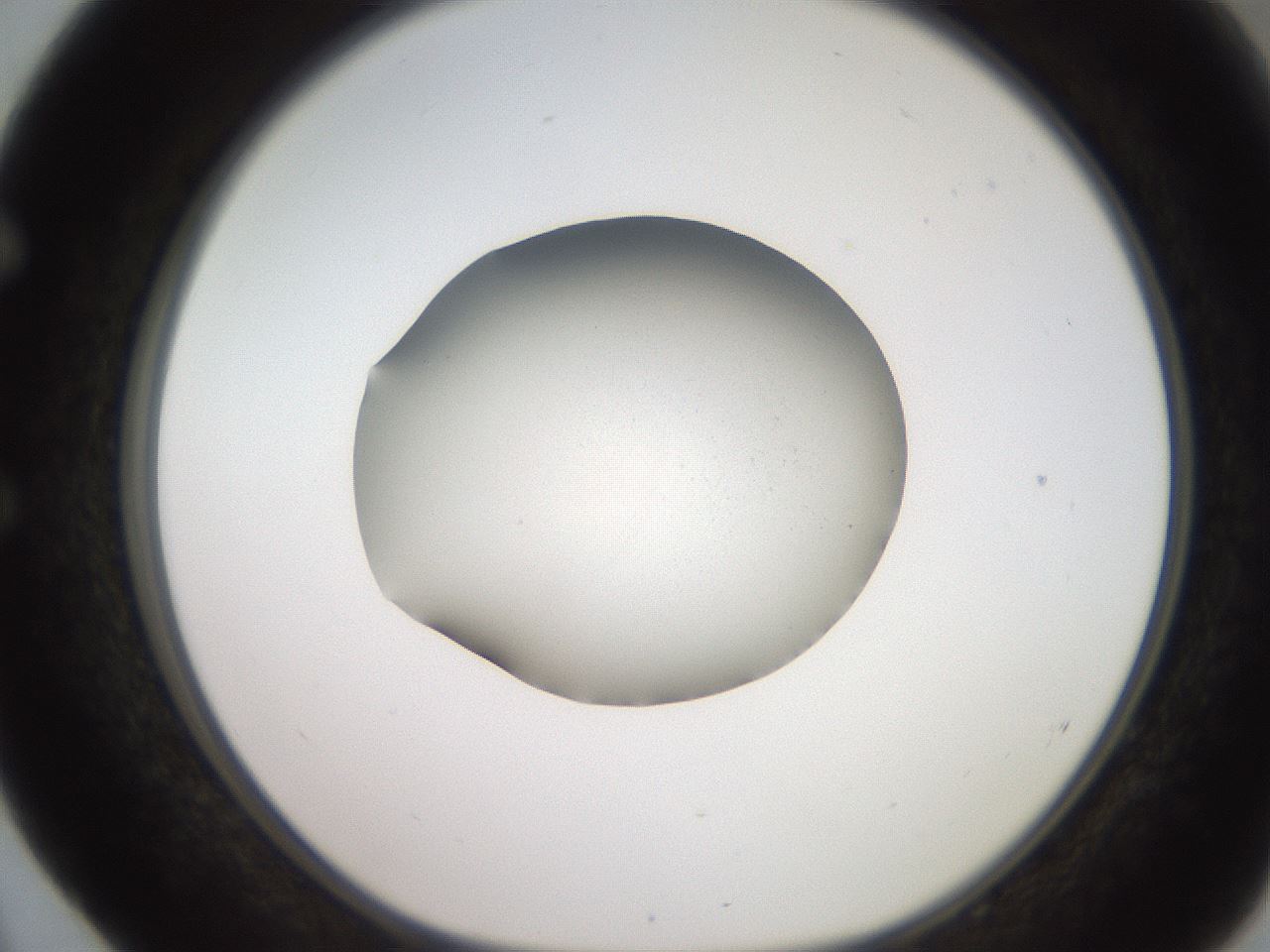 folderID257_plateID2257_batchID10332_wellNum52_profileID1_d1_r156712_ef.jpg