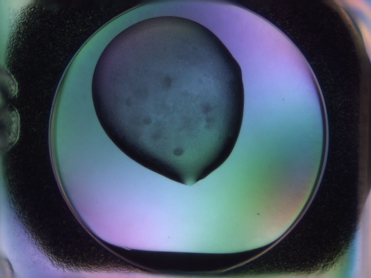 02j1_G9_ImagerDefaults_6.jpg