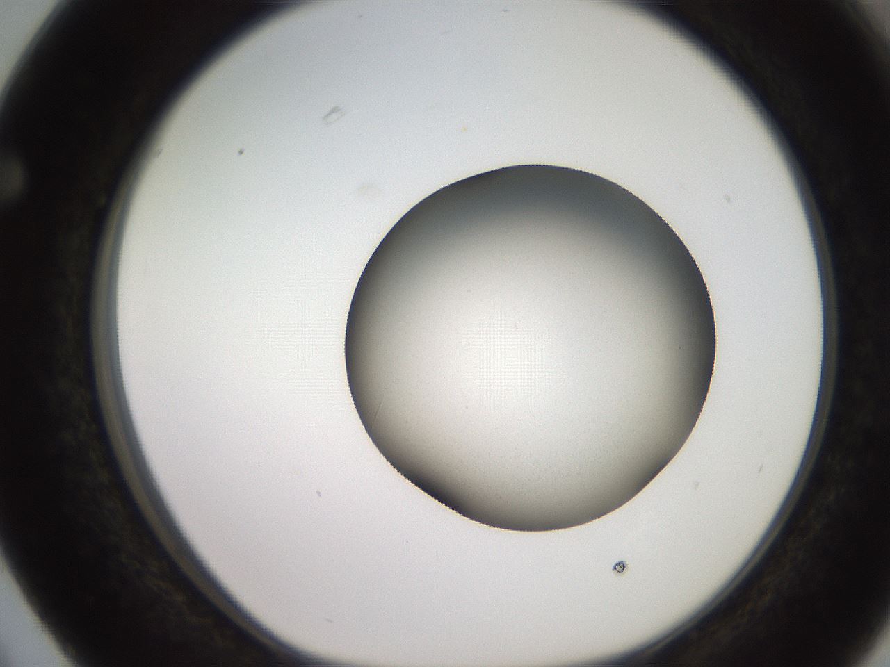 folderID257_plateID2257_batchID10332_wellNum63_profileID1_d1_r156734_ef.jpg