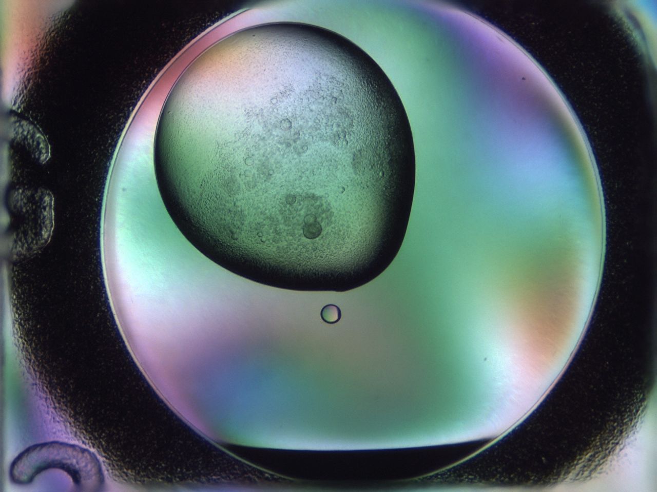 02j1_G12_ImagerDefaults_6.jpg