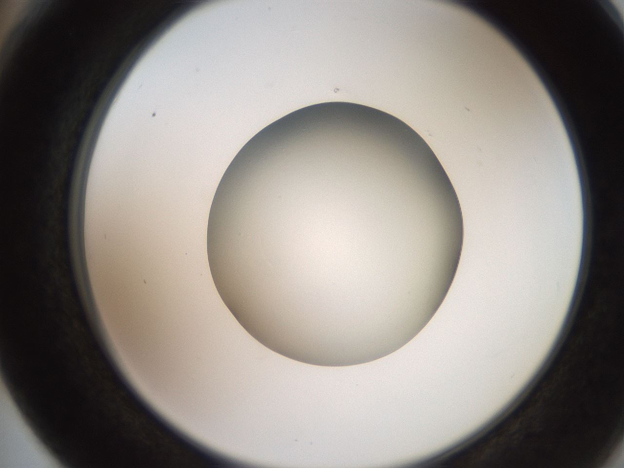 folderID257_plateID2257_batchID10332_wellNum66_profileID1_d2_r156741_ef.jpg