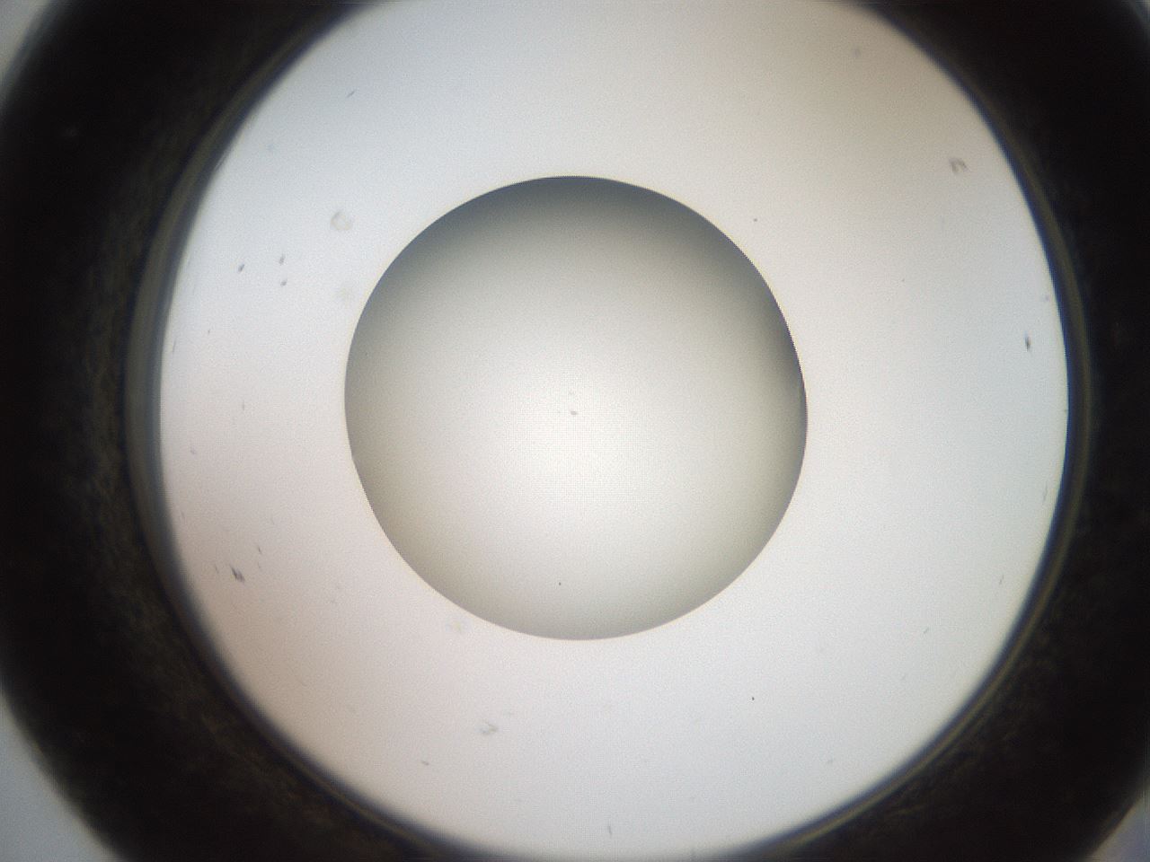 folderID257_plateID2257_batchID10332_wellNum68_profileID1_d2_r156745_ef.jpg
