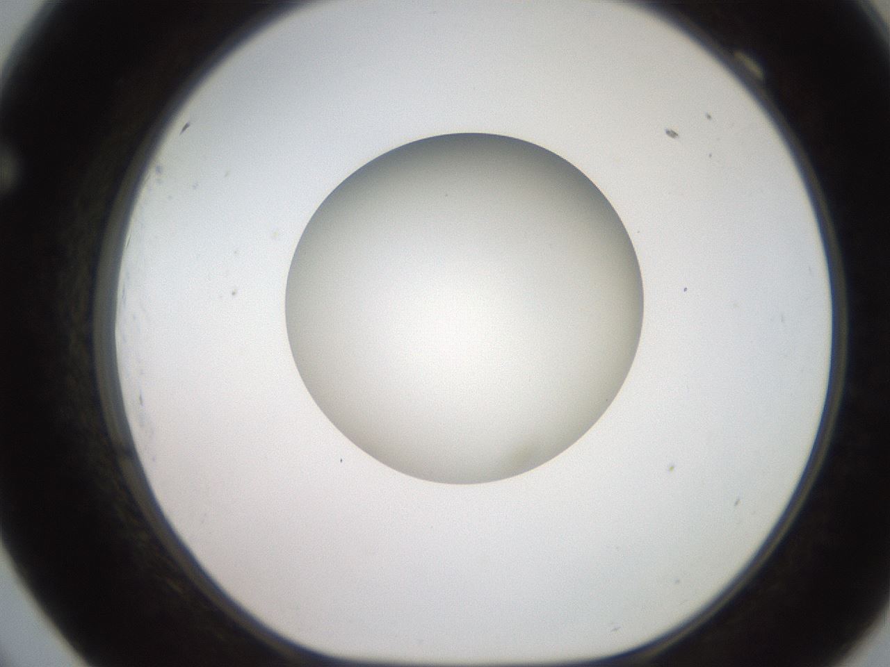 folderID257_plateID2257_batchID10332_wellNum69_profileID1_d1_r156746_ef.jpg