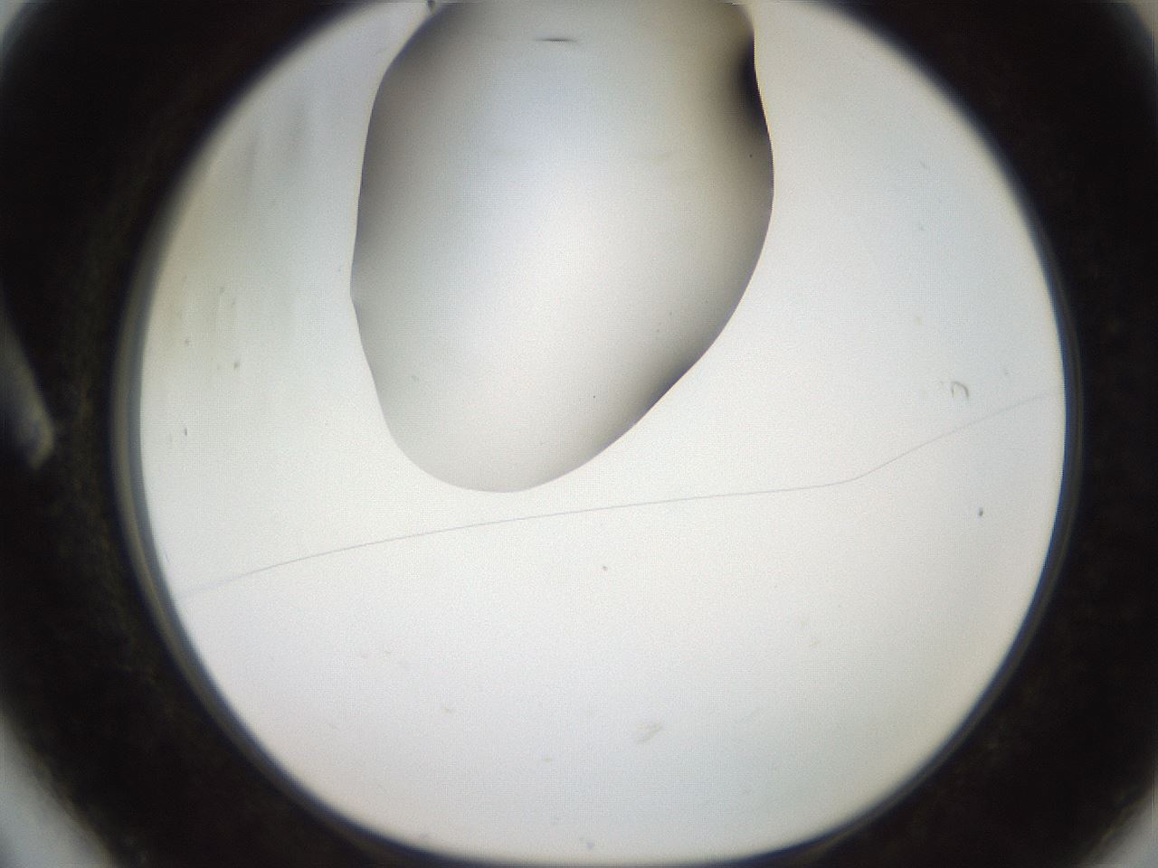 folderID257_plateID2257_batchID10332_wellNum6_profileID1_d1_r156620_ef.jpg