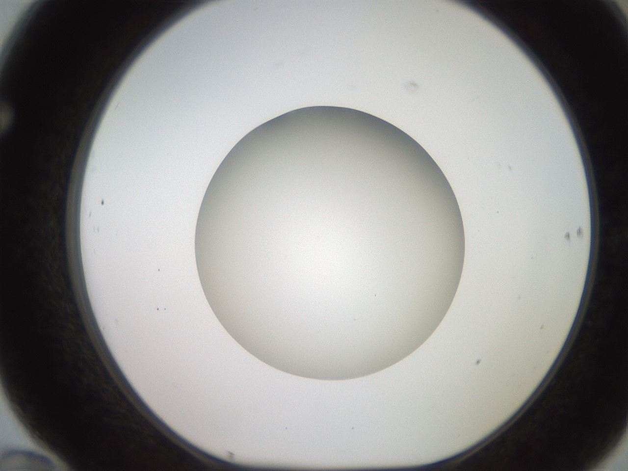 folderID257_plateID2257_batchID10332_wellNum70_profileID1_d1_r156748_ef.jpg