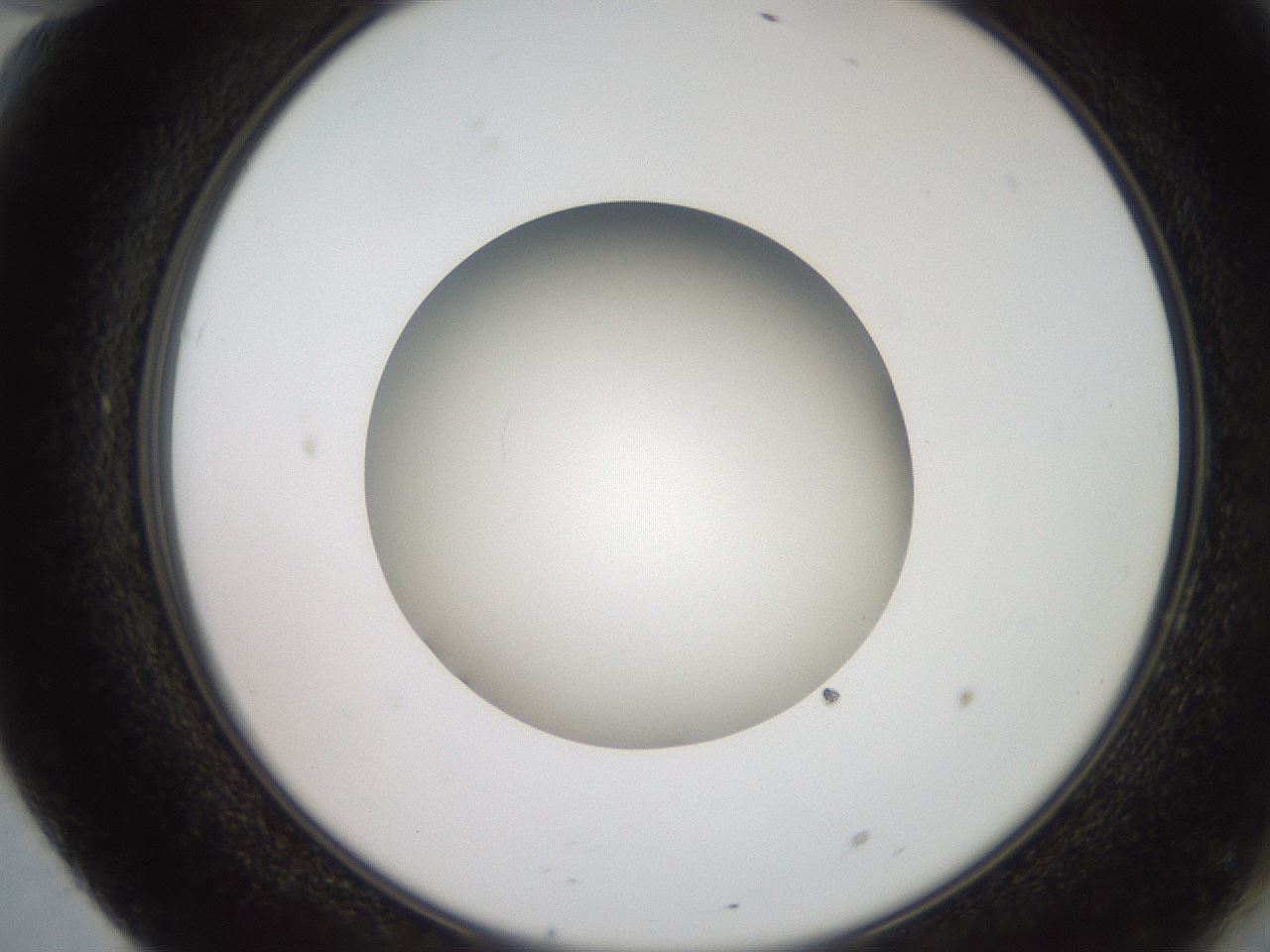 folderID257_plateID2257_batchID10332_wellNum70_profileID1_d2_r156749_ef.jpg
