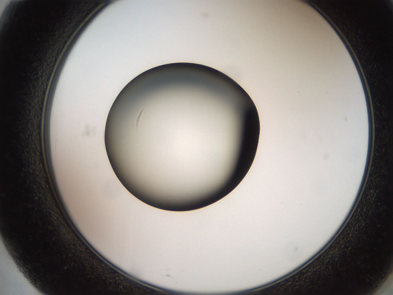 folderID257_plateID2257_batchID10332_wellNum71_profileID1_d2_r156751_ef.jpg