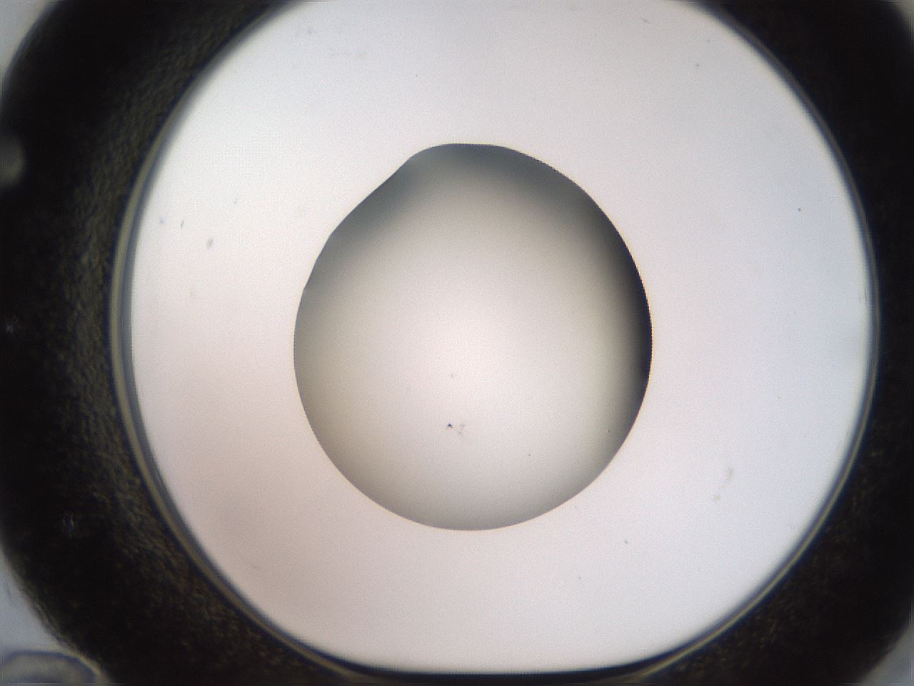 folderID257_plateID2257_batchID10332_wellNum72_profileID1_d1_r156752_ef.jpg