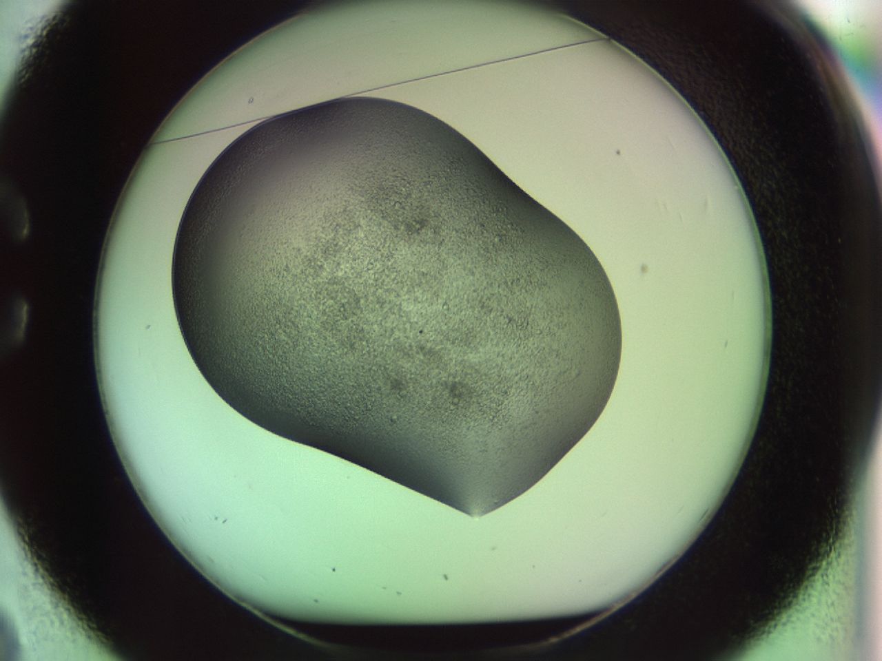 02j8_C2_ImagerDefaults_6.jpg