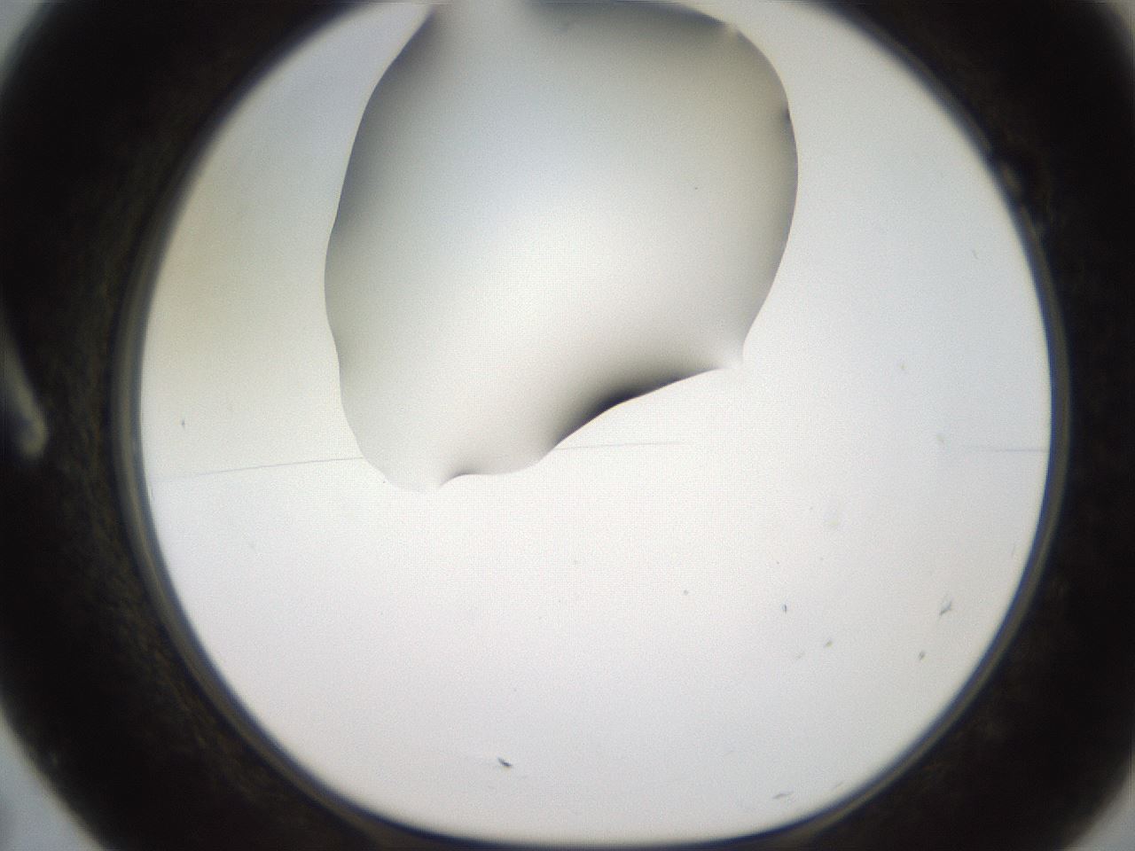 folderID257_plateID2257_batchID10332_wellNum7_profileID1_d1_r156622_ef.jpg